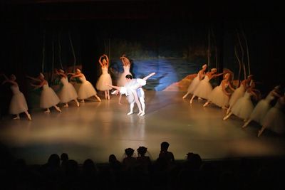 6848 Swan Lake
