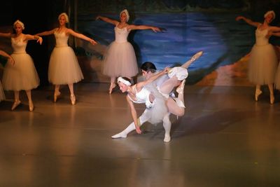 6850 Swan Lake