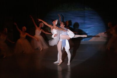 6851 Swan Lake