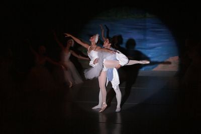 6852 Swan Lake