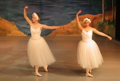 6854 Swan Lake