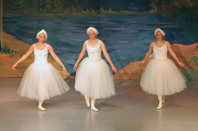 6856 Swan Lake
