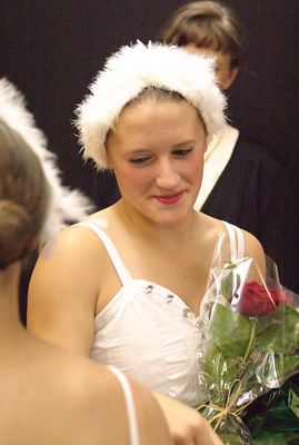 6896 Swan Lake