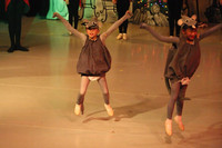 0462 Nutcracker 2006