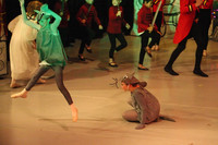 0464 Nutcracker 2006