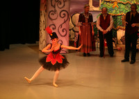 2739 Nutcracker 2007
