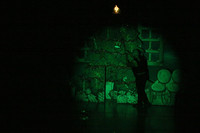 2894 Nutcracker 2007