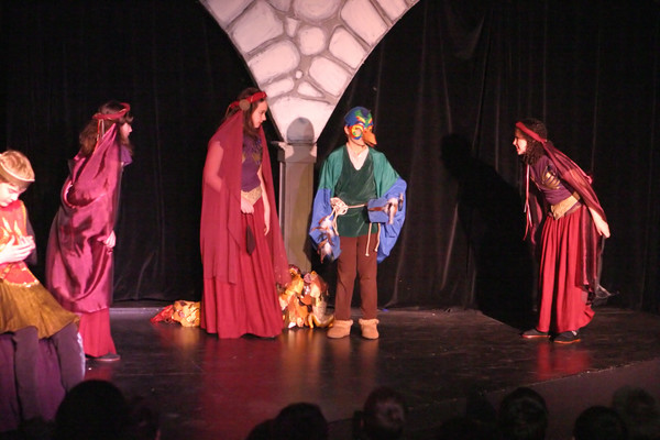 4229 Magic Flute