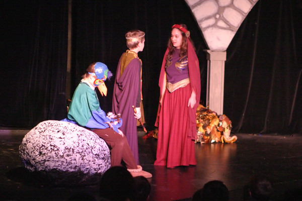 4237 Magic Flute