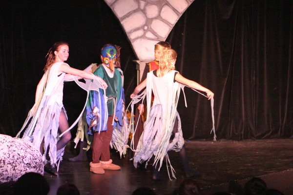 4243 Magic Flute