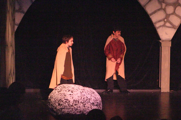 4249 Magic Flute