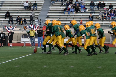 0721VPYF Orting