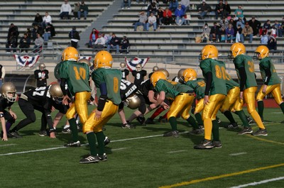 0752VPYF Orting