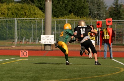 0811VPYF Orting