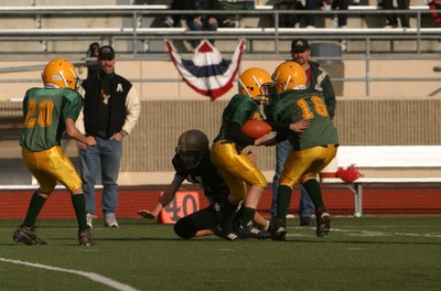 0816VPYF Orting