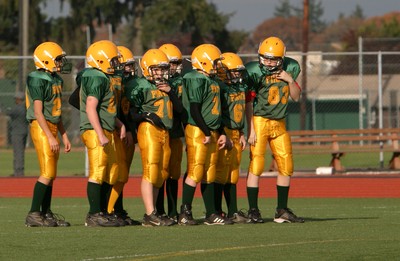 0820VPYF Orting