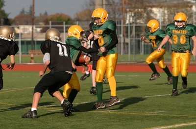 0829VPYF Orting