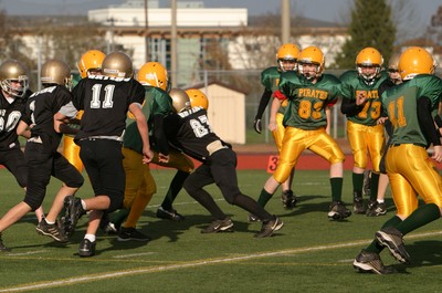 0830VPYF Orting