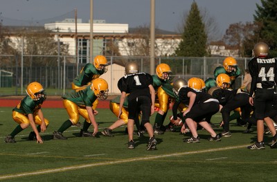 0831VPYF Orting