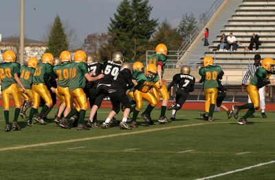 0832VPYF Orting