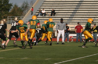 0833VPYF Orting