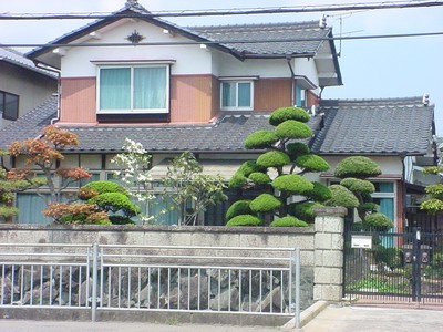 dsc02800