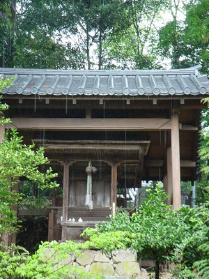dsc02723