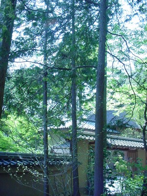 dsc02606