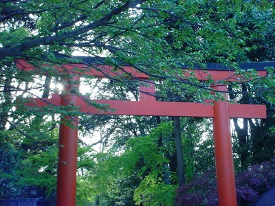 dsc02626