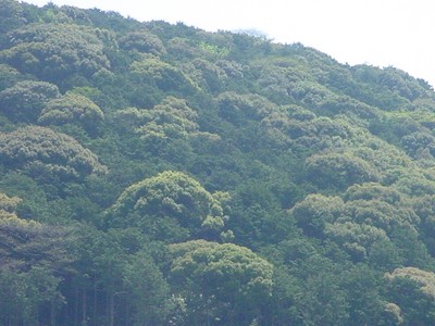 dsc02663