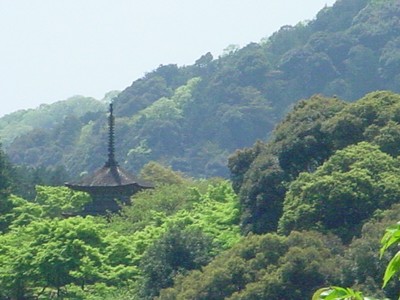 dsc02665