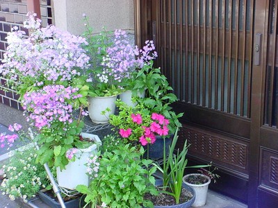 dsc02690