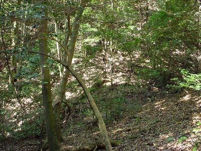 dsc02517