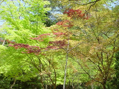 dsc02526
