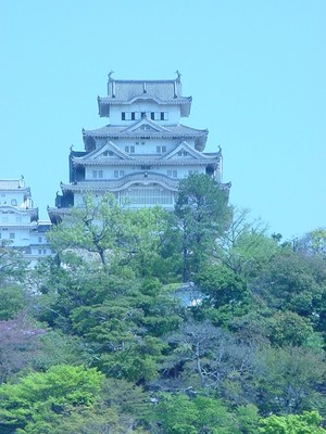 dsc02539