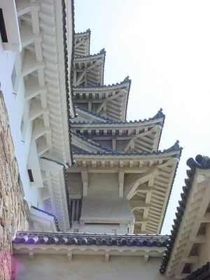 dsc02544