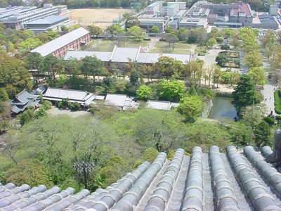 dsc02549