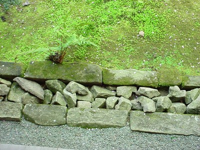 dsc02557