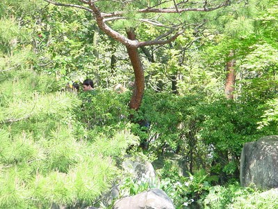 dsc02560