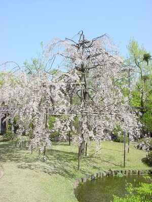 dsc02574