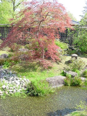 dsc02575
