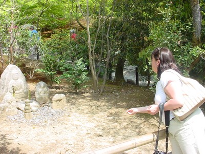 dsc02596