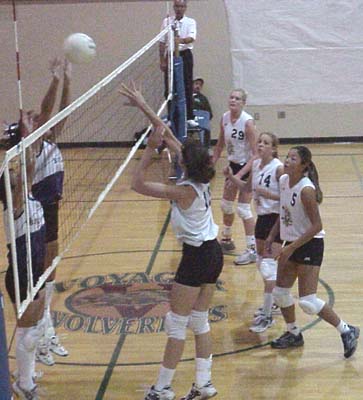 Vashon High School Pirates Girls Volleyball 2000