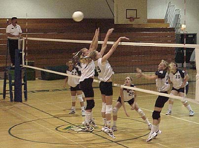 [Pirates Girls' Volleyball!]